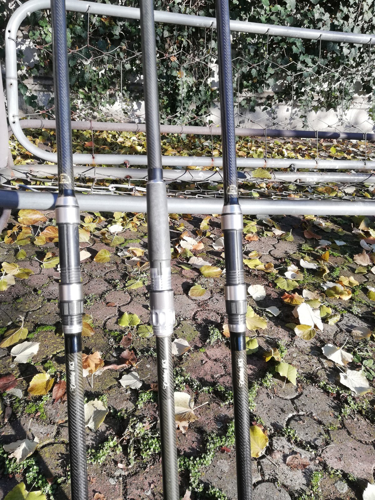 ;ansete century ncs Bruce Ashby 3.9 m - IMG20201201103442.jpg